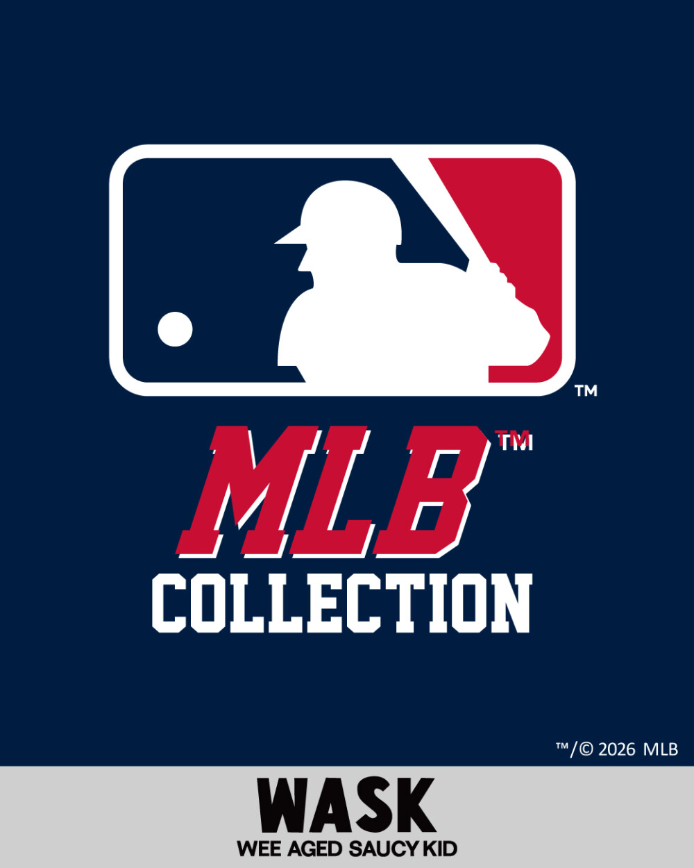 【WASK】⚾️MLB COLLECTION⚾️