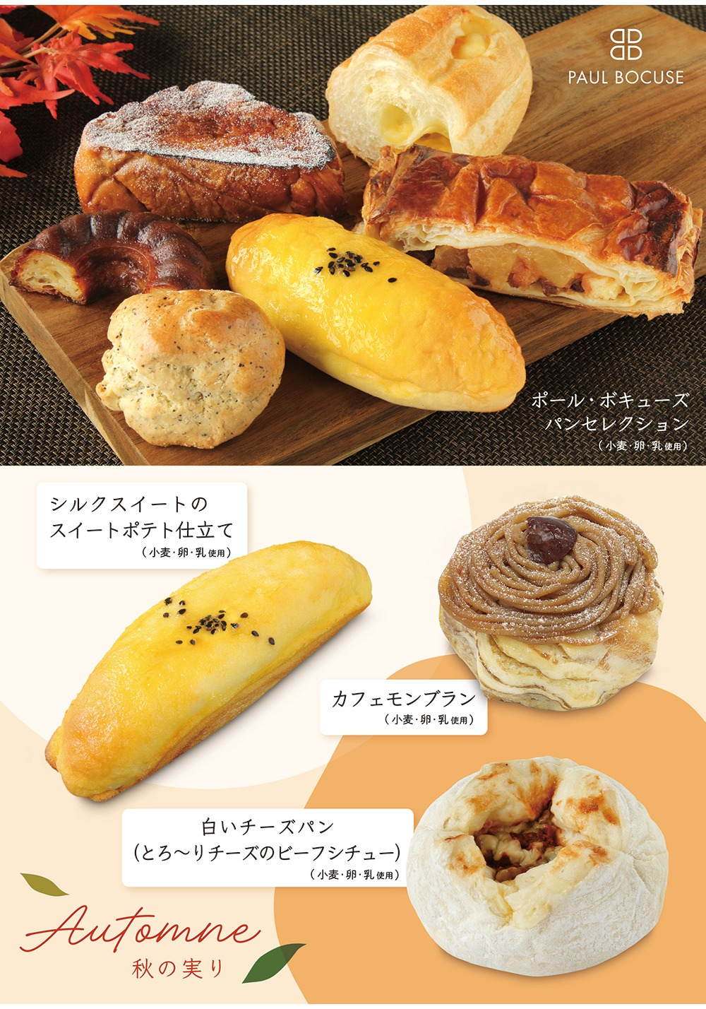 ベーカリー＜PAUL BOCUSE＞より  秋の実りフェアのご紹介です🍁