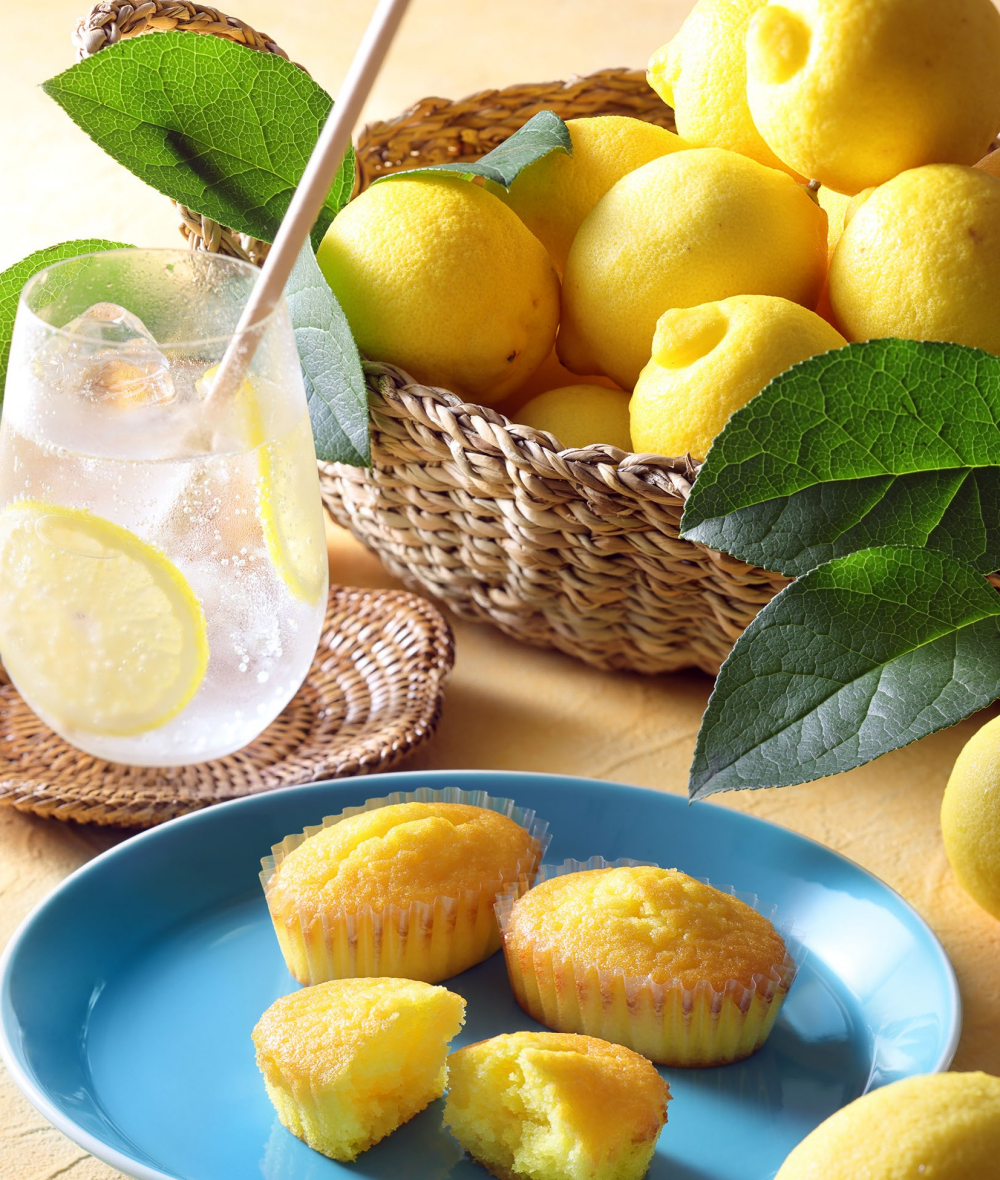 【新商品/夏季限定】焼きティラミス　瀬戸田リモーネ発売🍋〈C3/シーキューブ〉