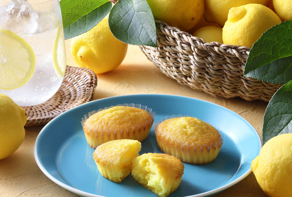 〈C3〉季節限定のレモンの焼き菓子をご紹介🍋