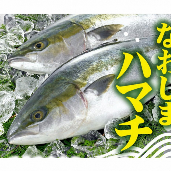 〈中島水産〉香川県祭✨