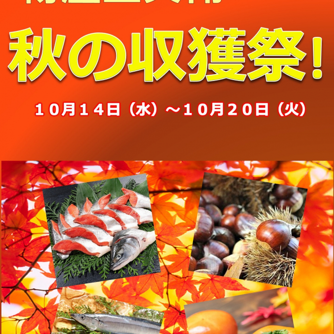 秋の収獲祭！日本の秋味  AUTUMN FESTIVAL✨
