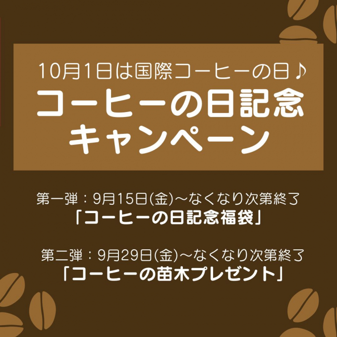 【福袋】コーヒーの日記念キャンペーン♪【コーヒーの苗木】