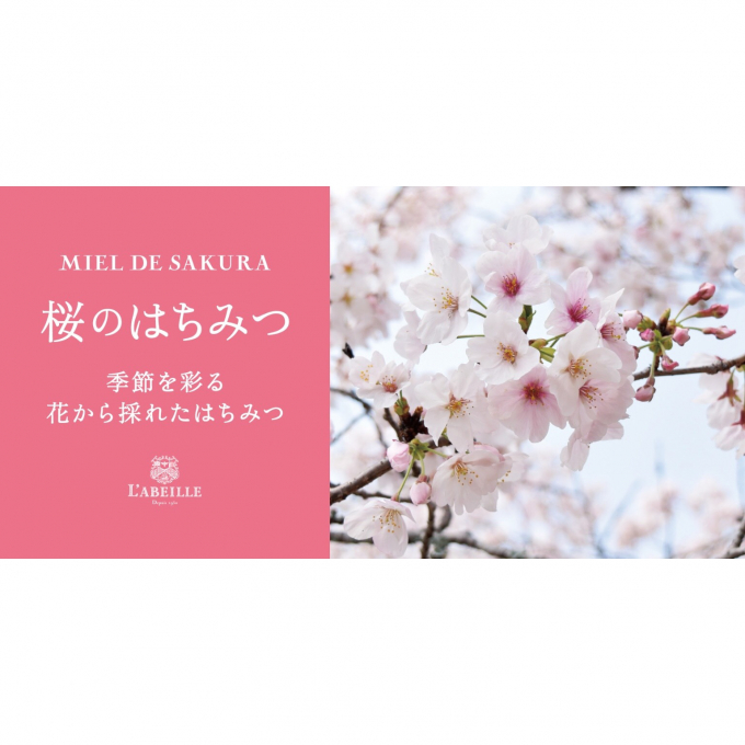 季節を彩る「桜」のはちみつ／はちみつ専門店〈 ラベイユ 〉