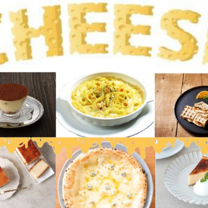 11月11日は「チーズの日」🧀