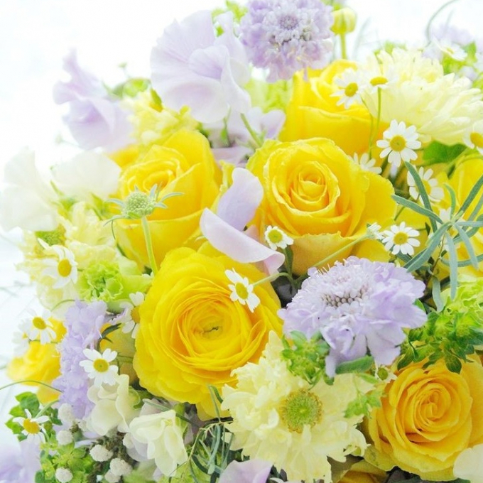 リビングマルシェ