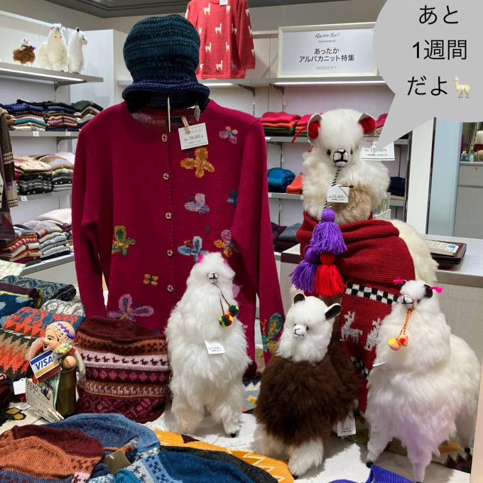 【あったかアルパカニット特集】あと1週間です☆ 