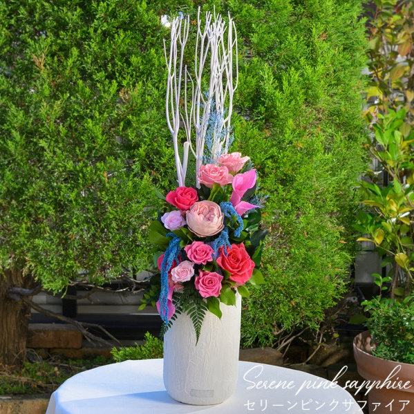 Spring Collection 2026