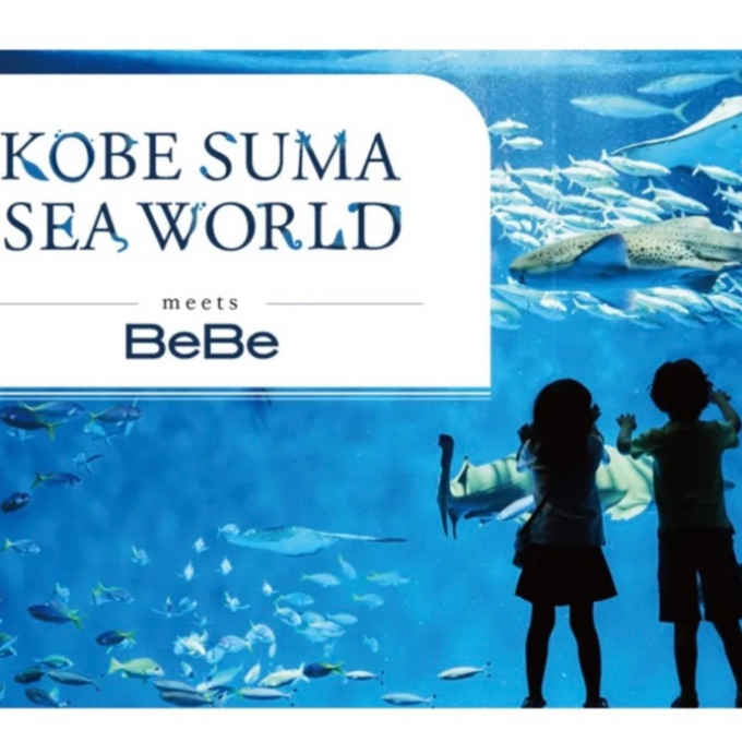 【BeBe】須磨シーワールドとのコラボ商品のご紹介！🐬✨