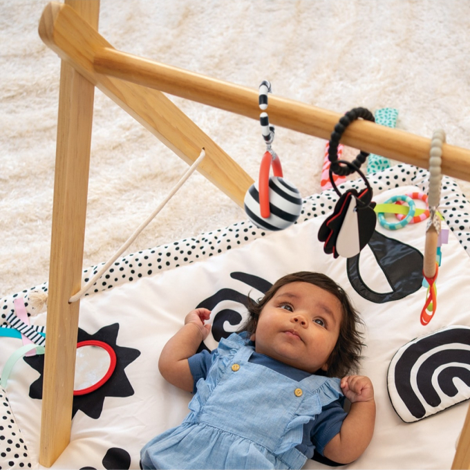 NEW！乳児向け知育玩具ウィマーシリーズ