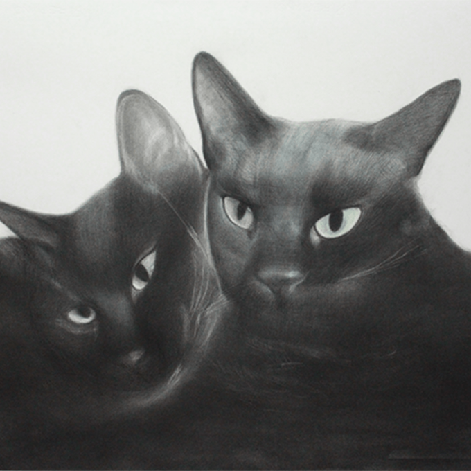 ―BLACK CATS－高橋行雄 展