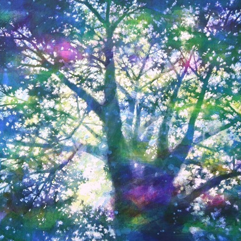 【予告】【吉川龍絵画展】　10/14(水)～20(火)開催します⭐️