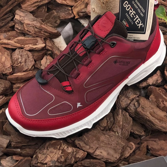 ECCO🍂 秋の新作スニーカー👟