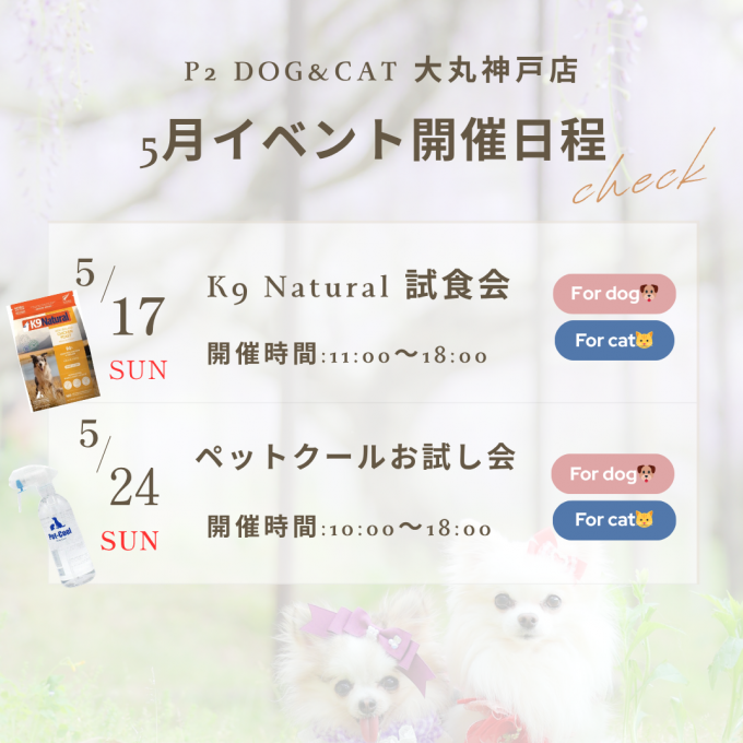 5月イベント開催のお知らせです🎶