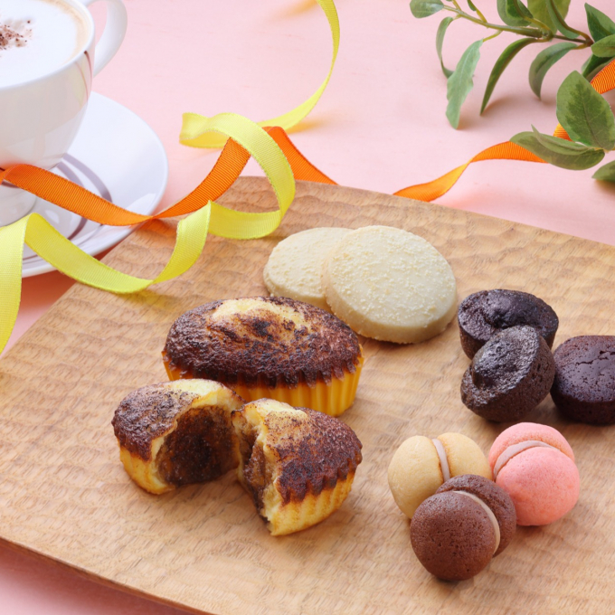 〈シーキューブ/C3〉定番アソートのご紹介🌸