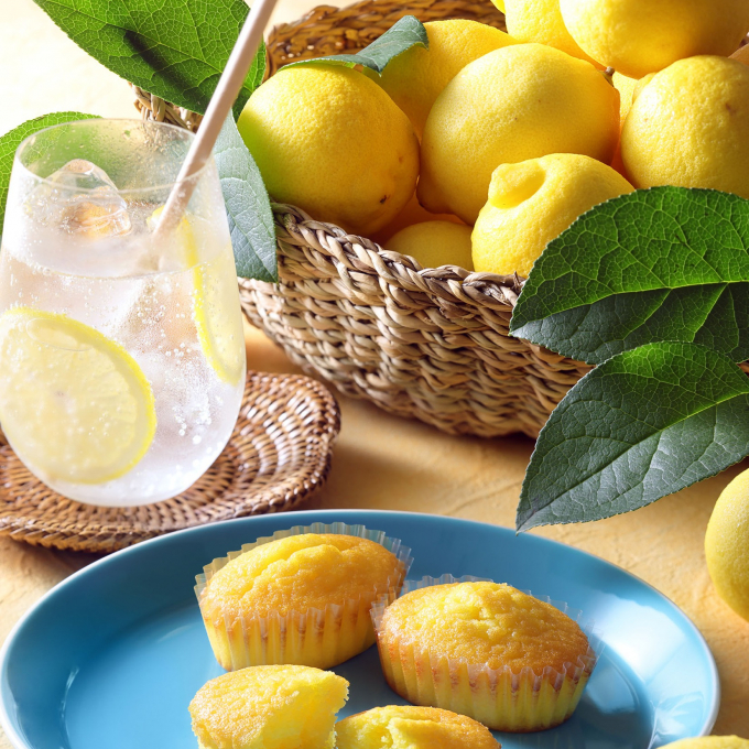 【新商品/夏季限定】焼きティラミス　瀬戸田リモーネ発売🍋〈C3/シーキューブ〉