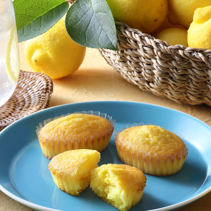 〈C3〉季節限定のレモンの焼き菓子をご紹介🍋