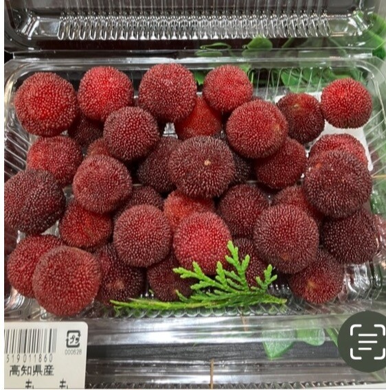 ごちそうパラダイス
