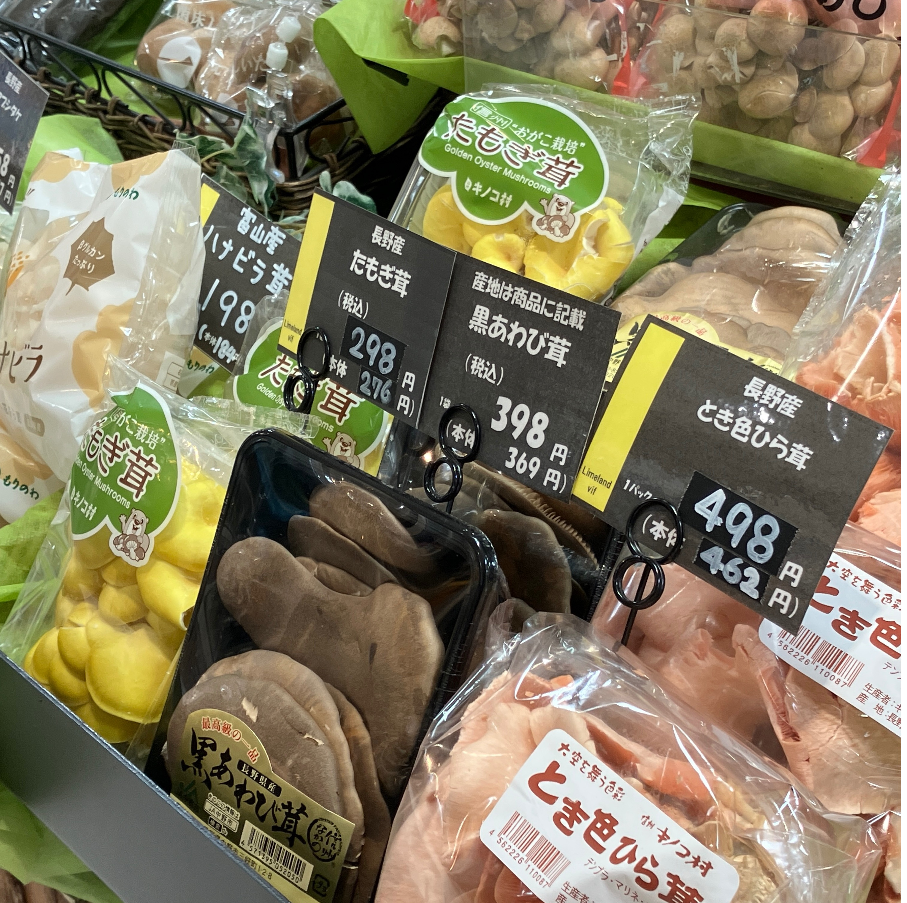 ライムランド　ヴィフ