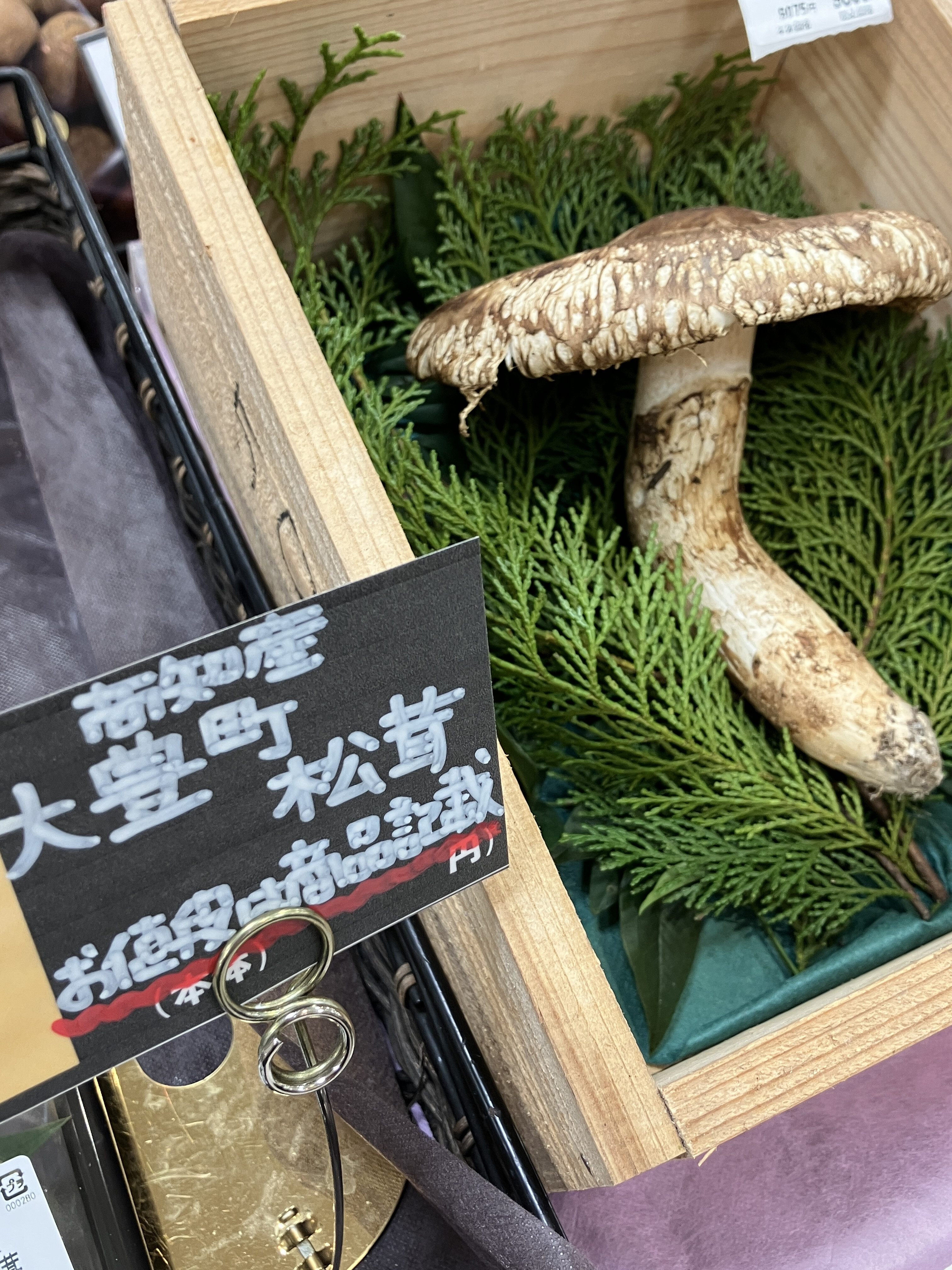 ライムランド　ヴィフ