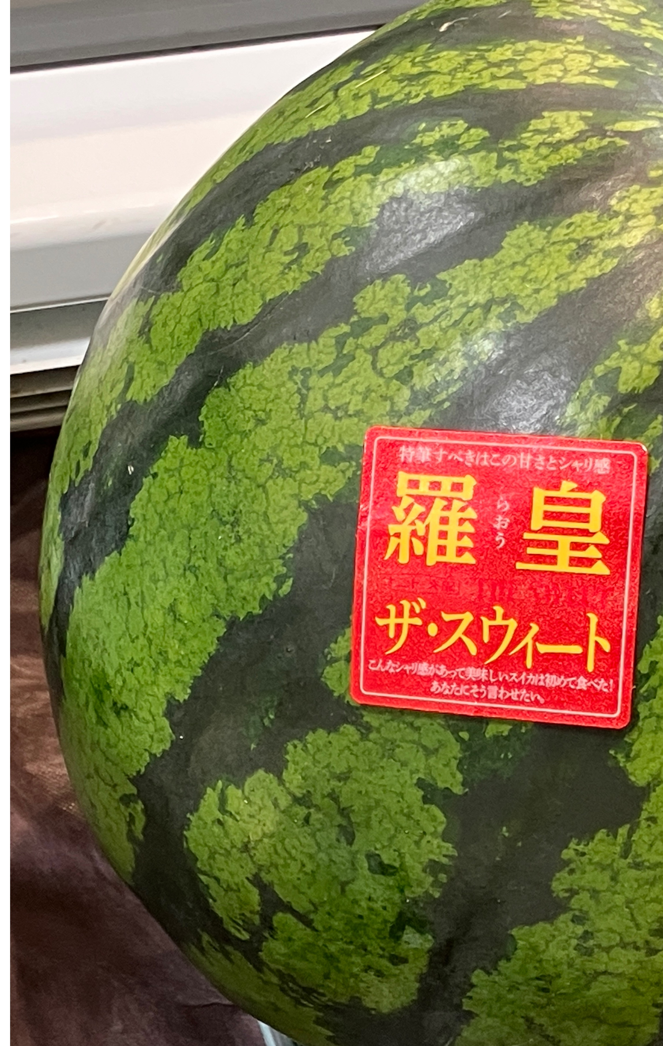 ライムランド　ヴィフ