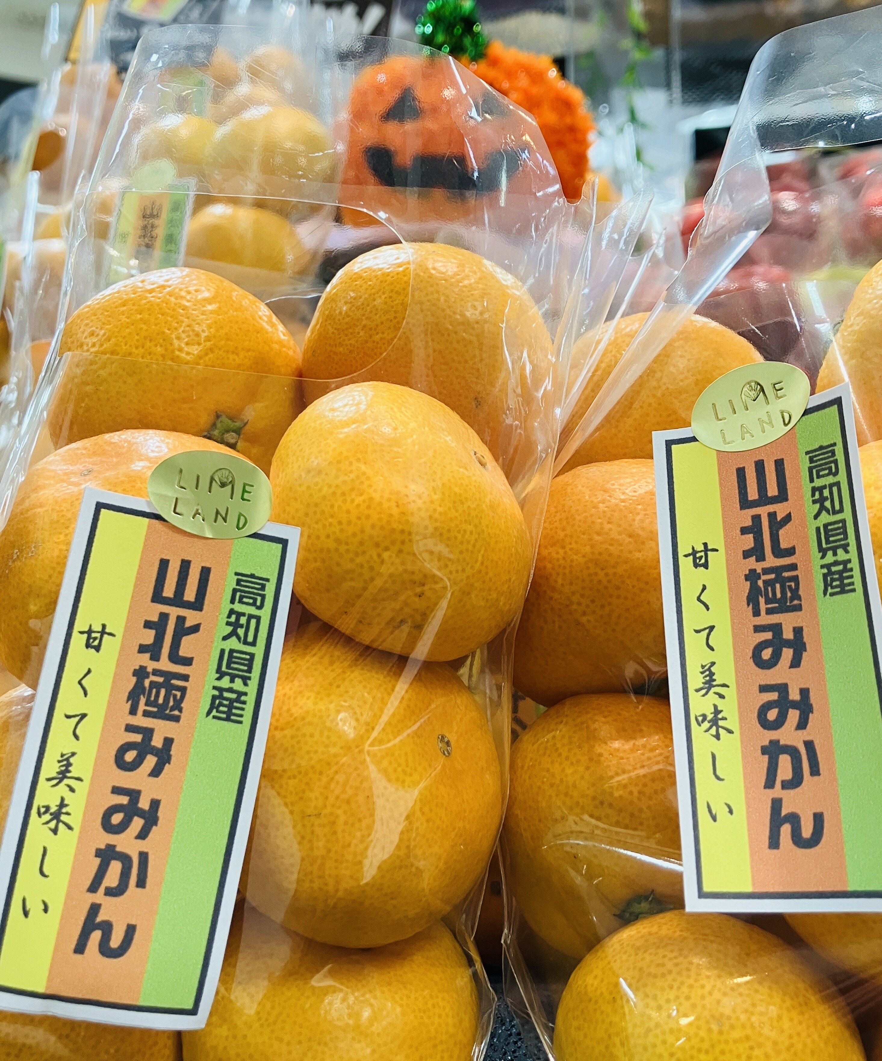 ライムランド　ヴィフ