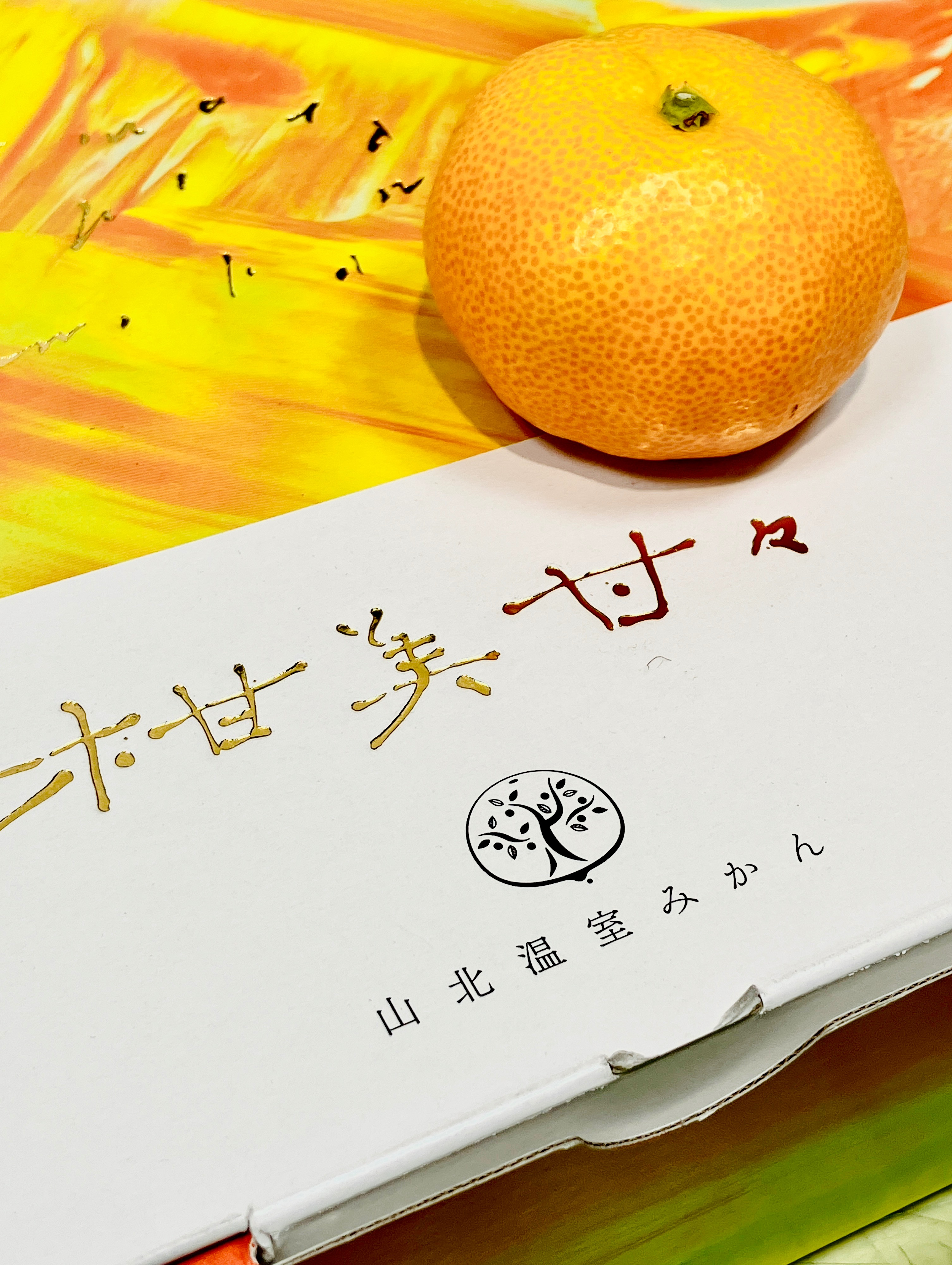 ライムランド ヴィフ】 | フードスナップ | 高知大丸公式 SHOP BLOG
