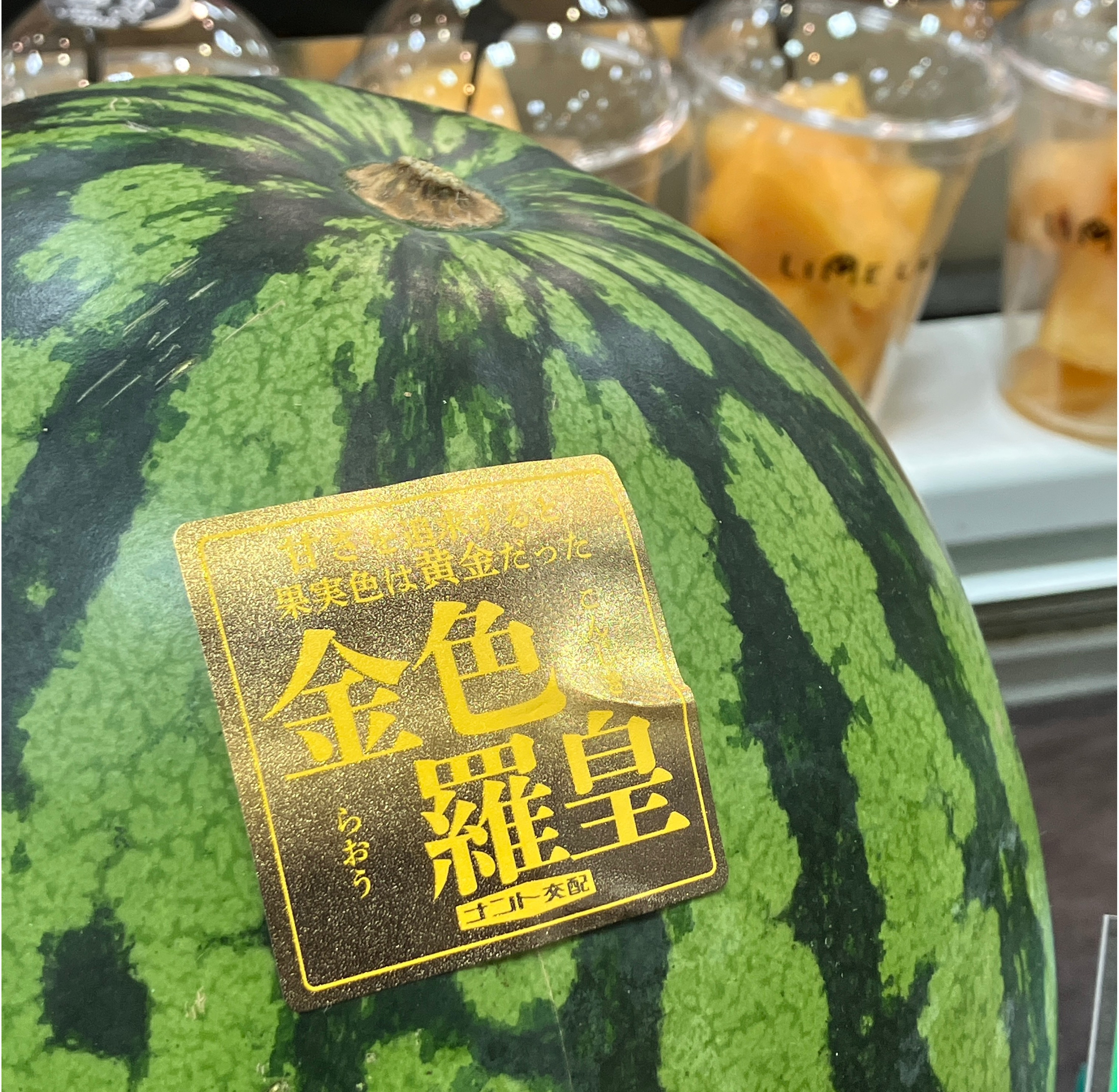 ライムランド　ヴィフ
