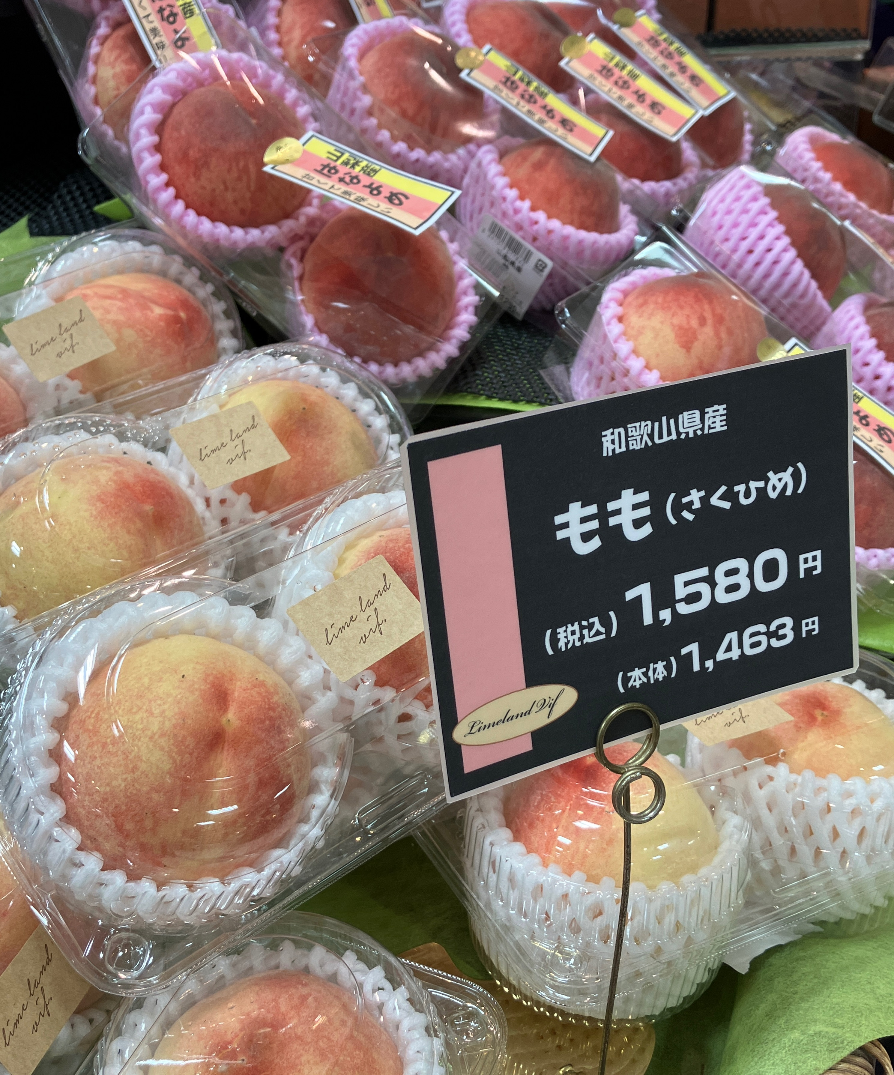 ライムランド　ヴィフ