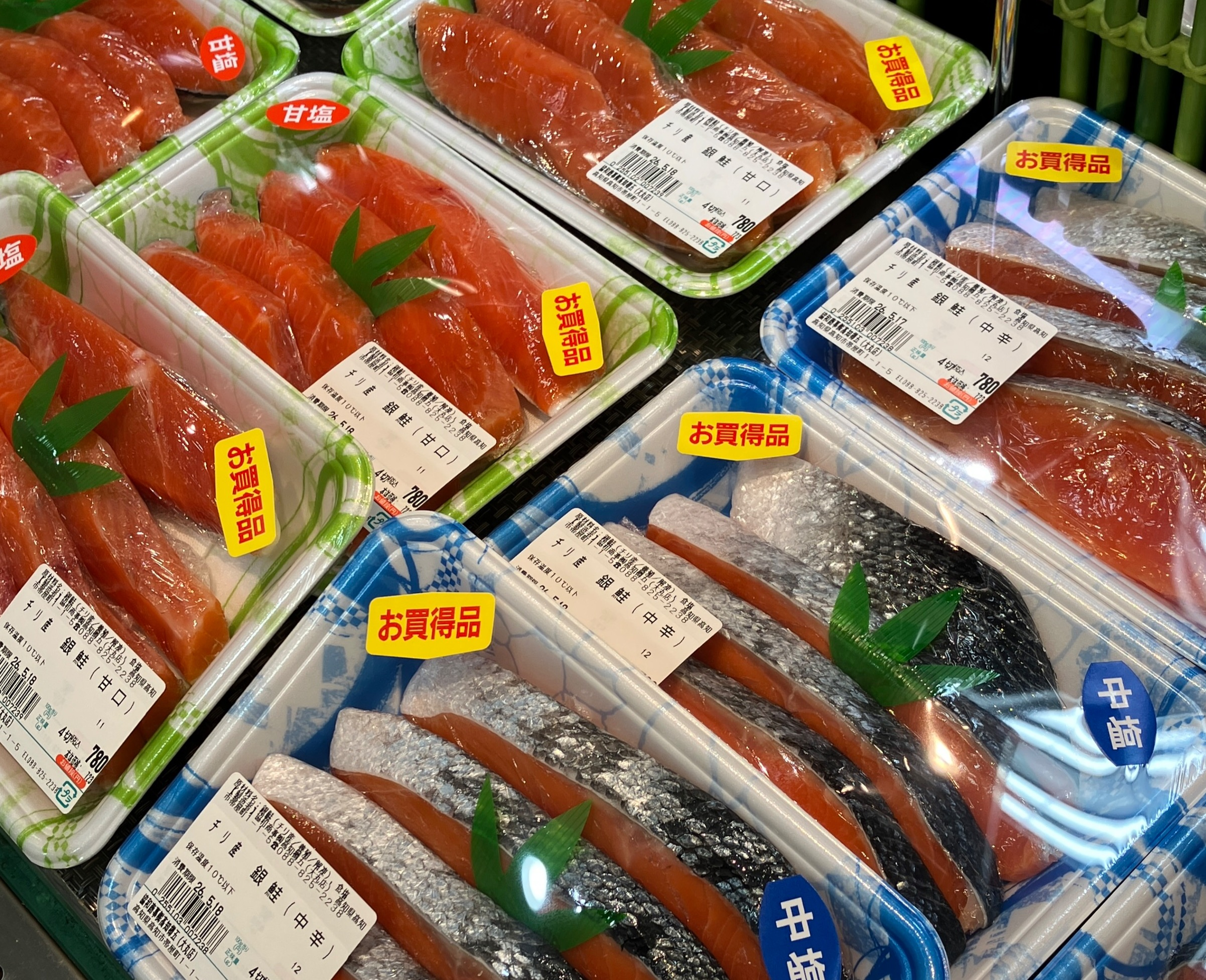 高知樽五