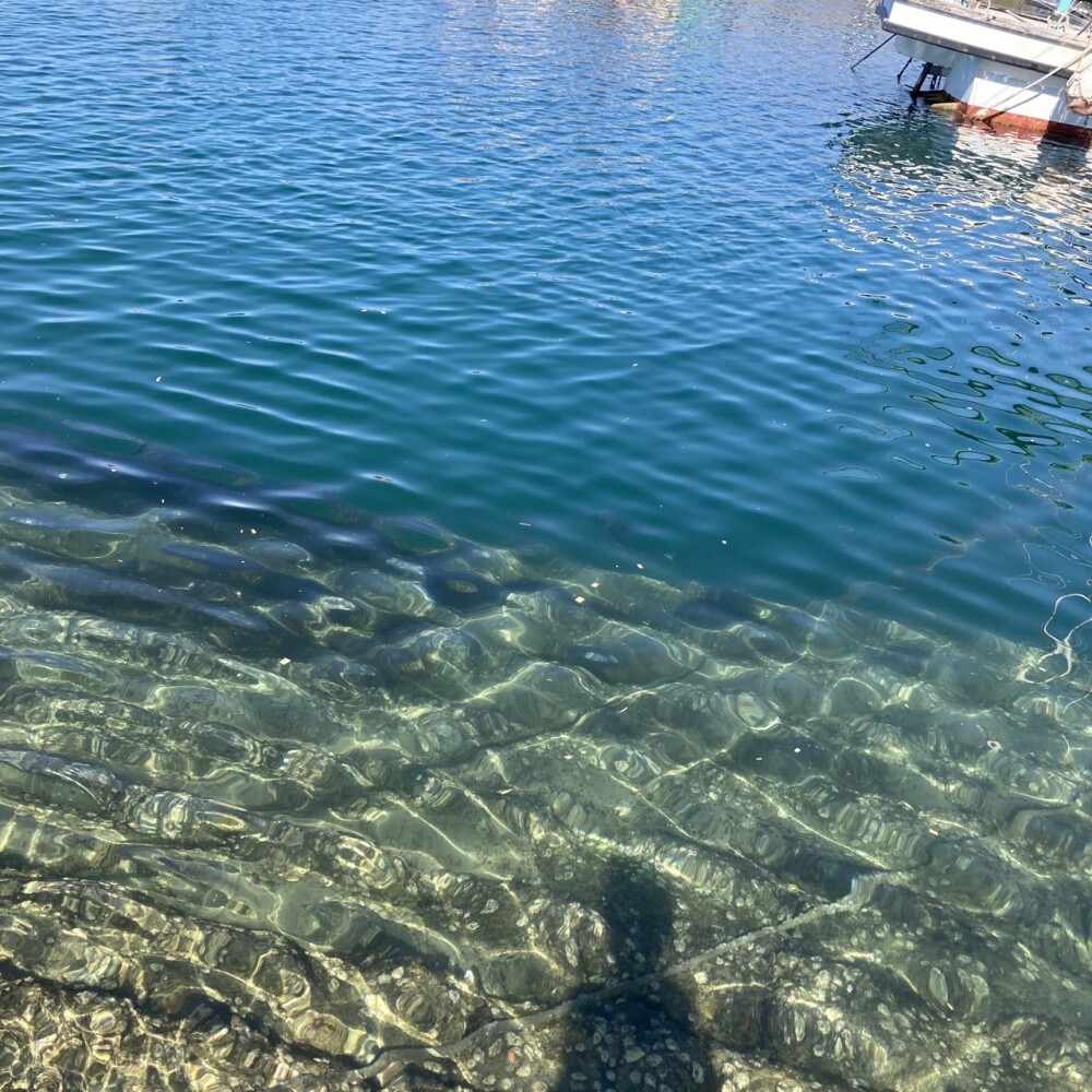 イマドコ「愛媛の海沿いを東へ」| 四国山地横断トレイル