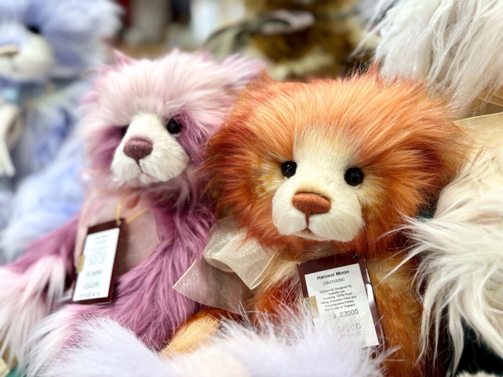 〈期間限定SHOP〉テディベアワールド🧸✨