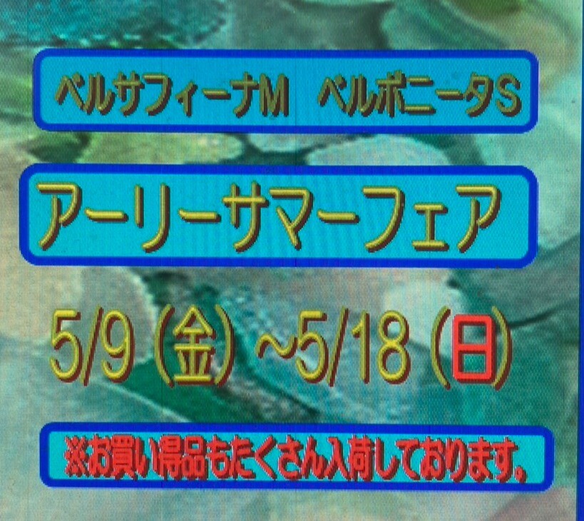 アーリーサマーフェア