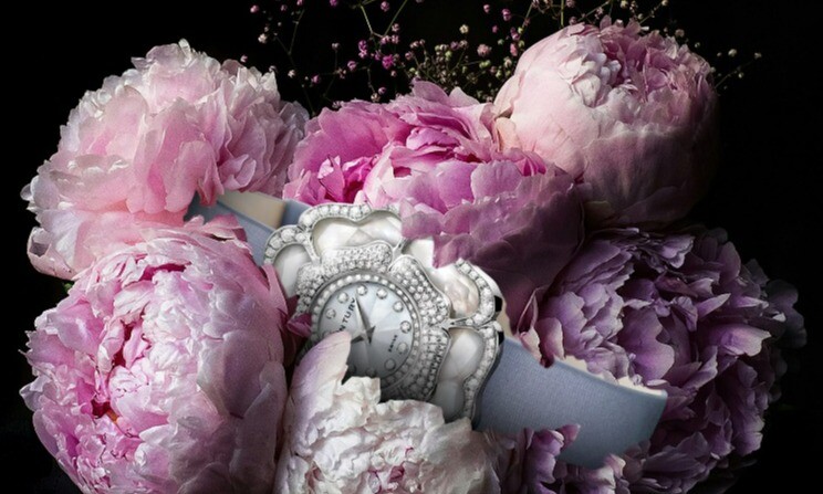 センチュリーウォッチ　プレミアムデイズ