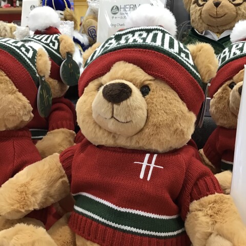 イベントスペース〉テディベアワールド🧸✨ | 婦人洋品売場