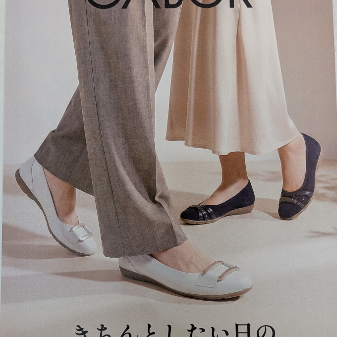 きちんとしたい日の頼れるパンプス