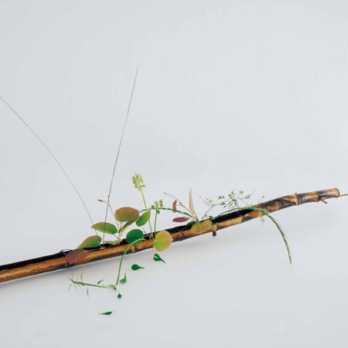 竹藝家 濱田哲彰 個展「素在」