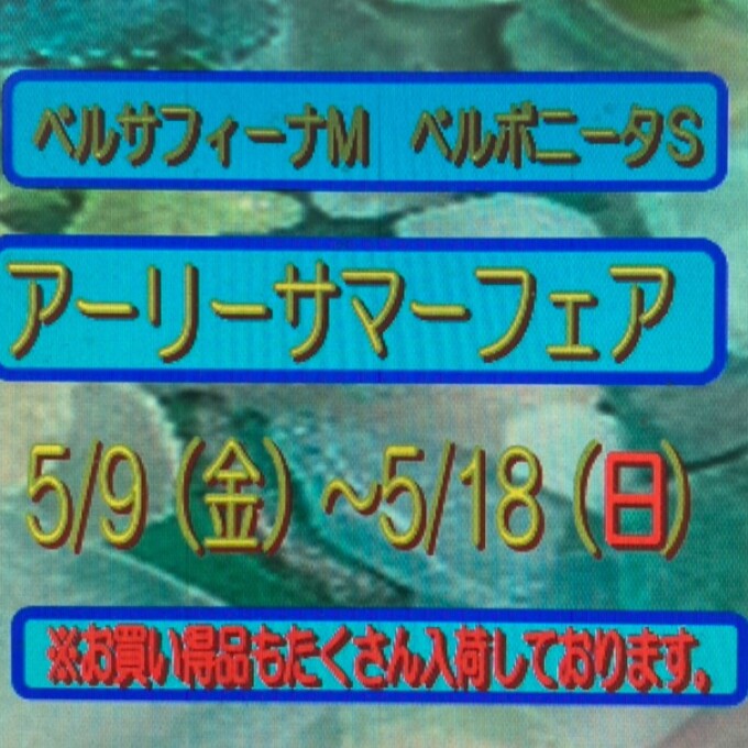 アーリーサマーフェア