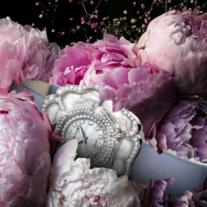 センチュリーウォッチ　プレミアムデイズ