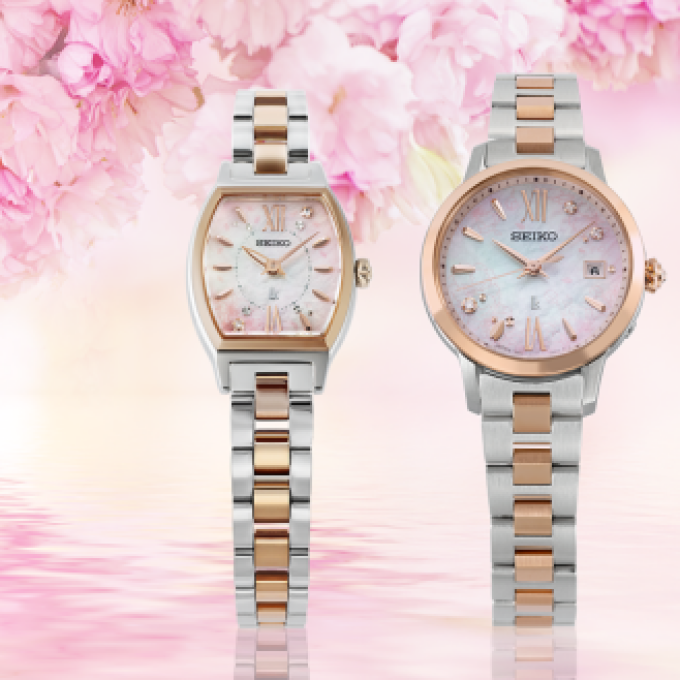 SAKURA  Blooming🌸