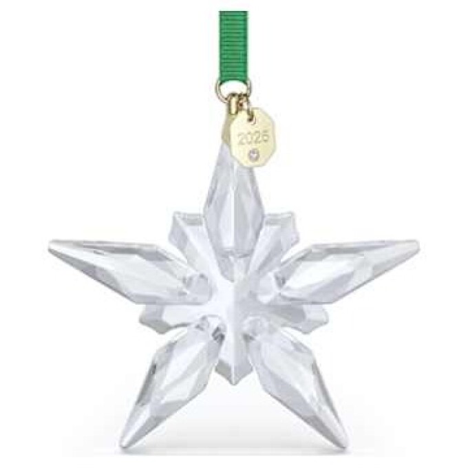 🌟Annual Editionオーナメント 2025🌟