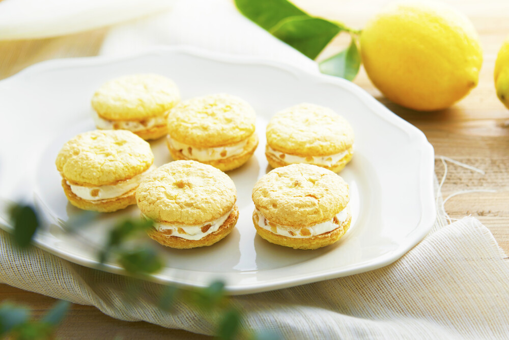 【期間限定】ふわふわレモンクリームサンド🍋レモンスイーツ専門店が登場！！