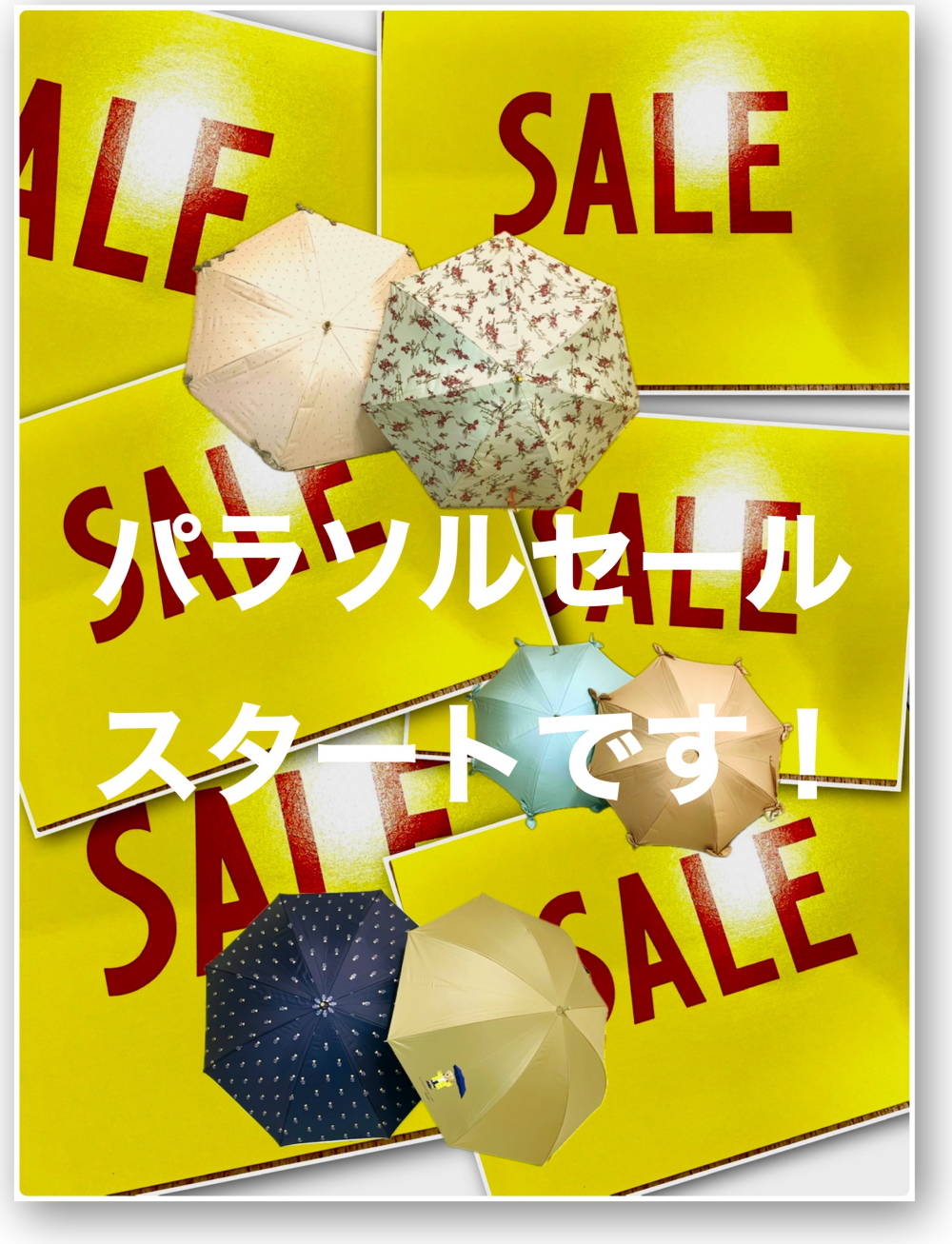 パラソル⛱️セールスタートです‼️