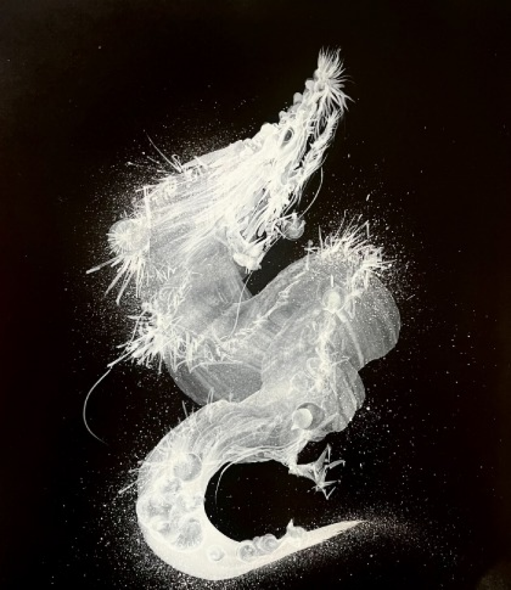 龍聚展　Ryuzyu-Dragon Art Exhibition