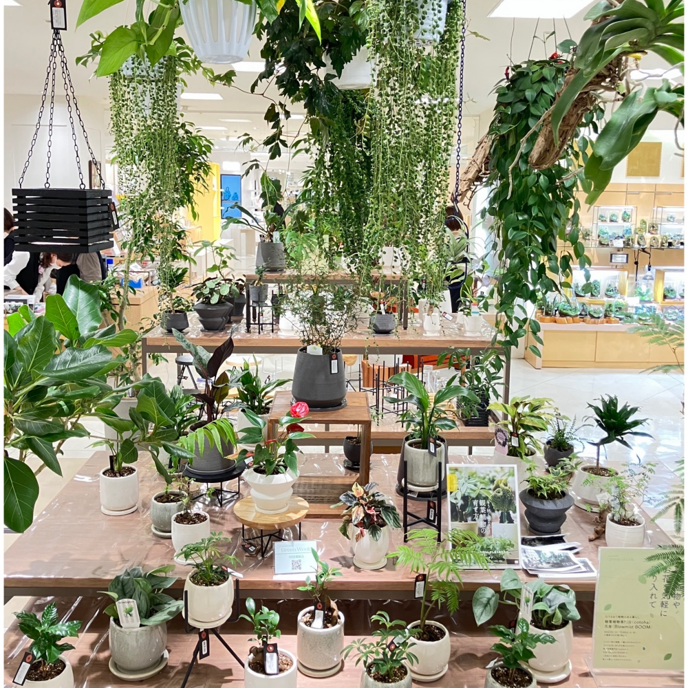 心うるおう植物のある暮らし