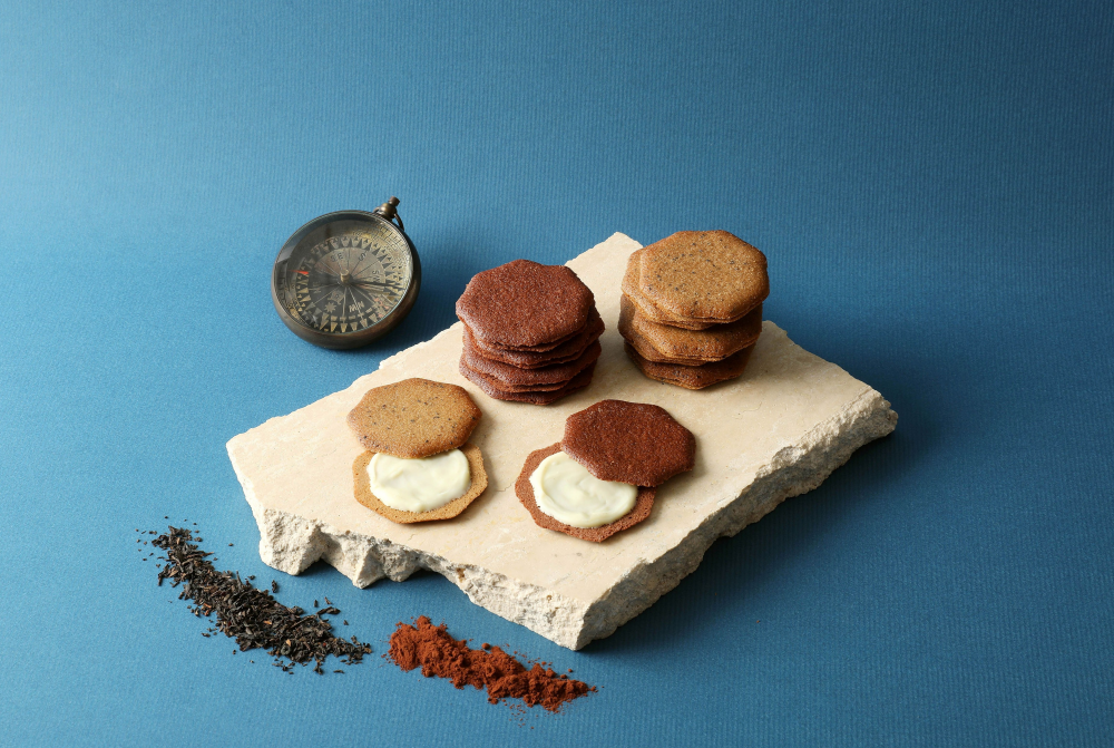 【ベルプラージュ】新商品のご案内🧭