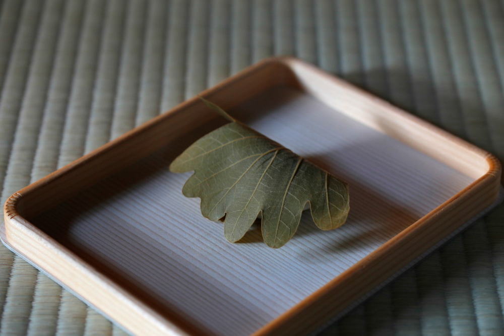 ＜老松＞　柏餅