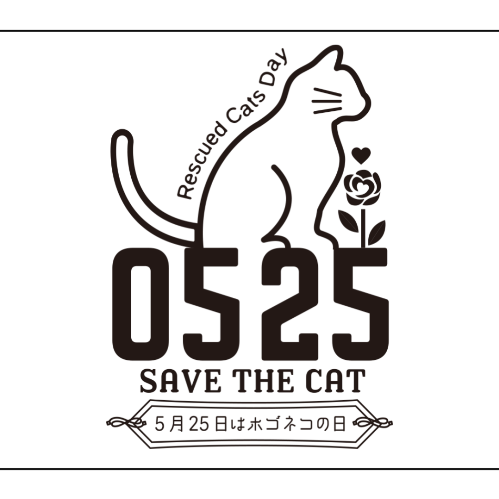 ネコちゃんアイテム販売スタート🐈🐾