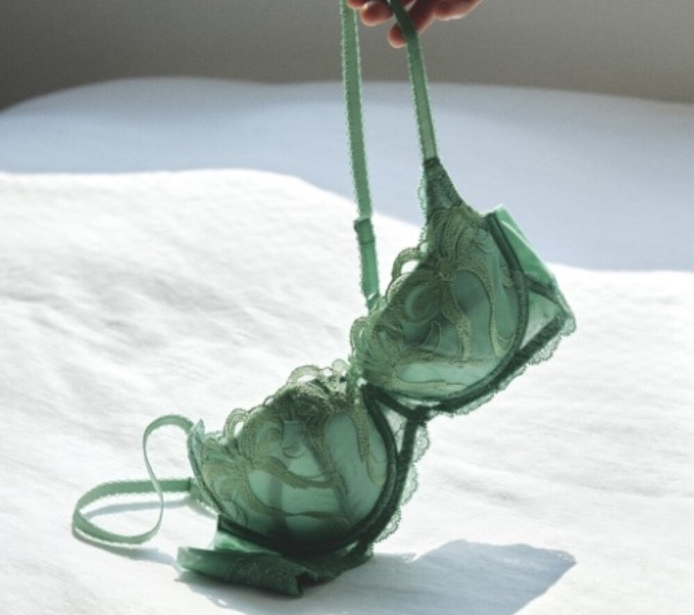 【トリンプ】新作入荷