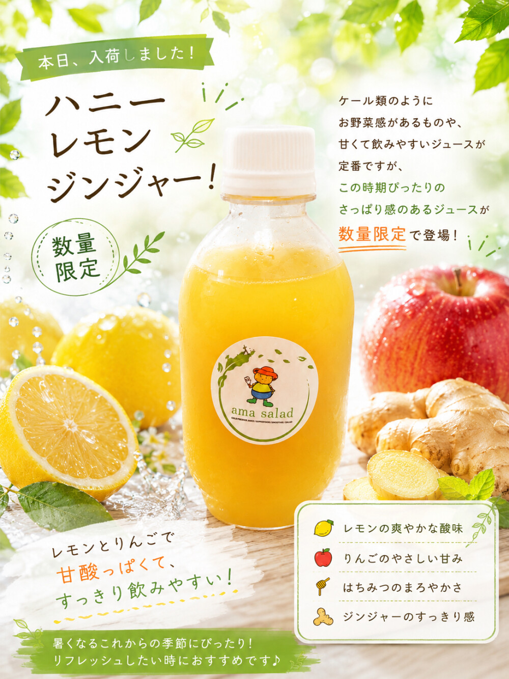 数量限定！